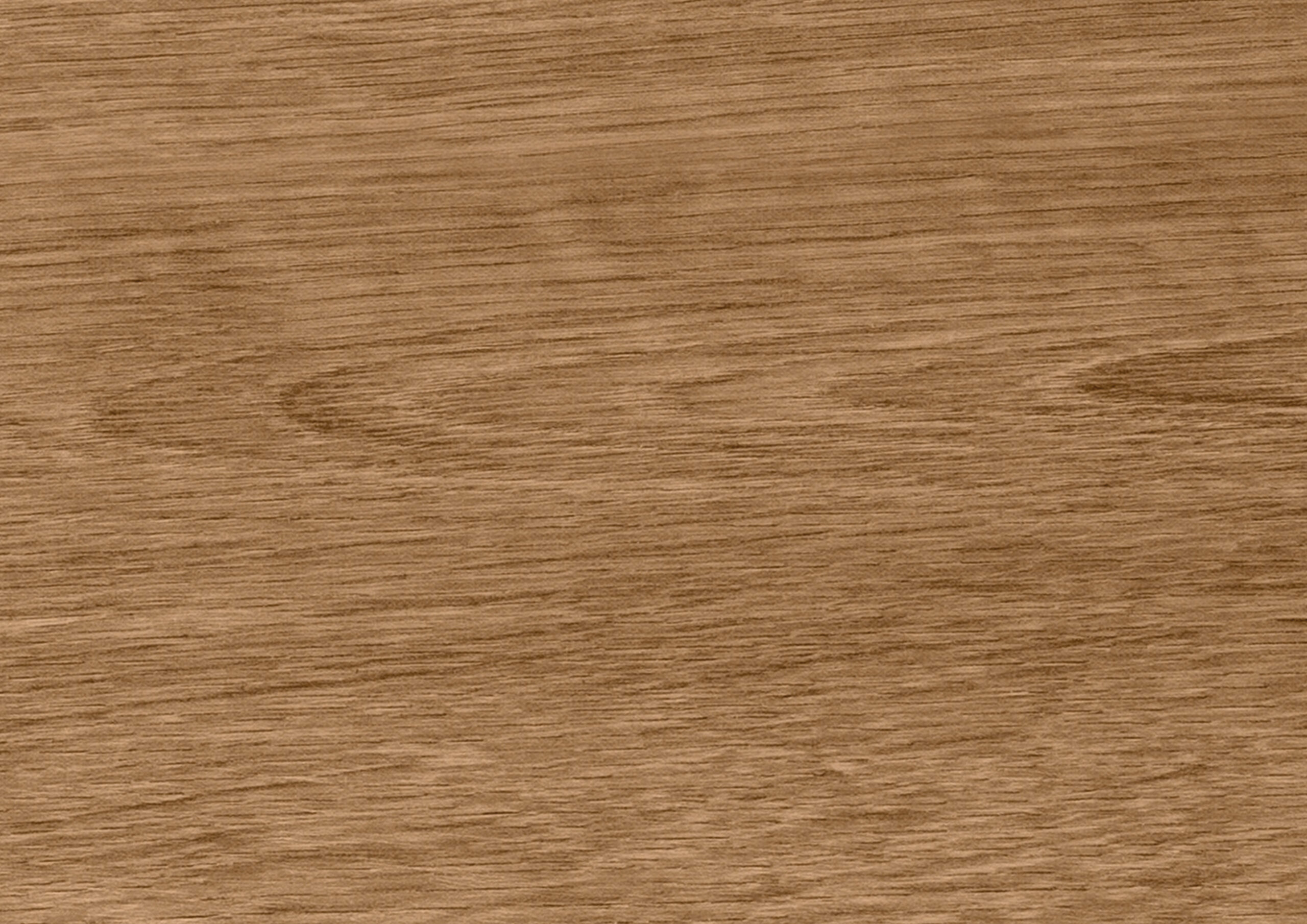 Turner_Oak_P114_RGB